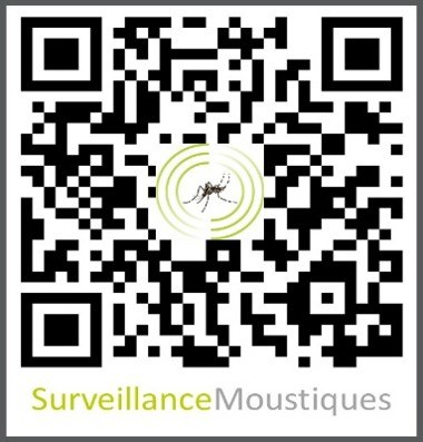qr surveillancemoustique
