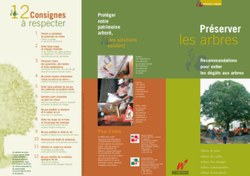 Préserver les arbres - photo.jpg