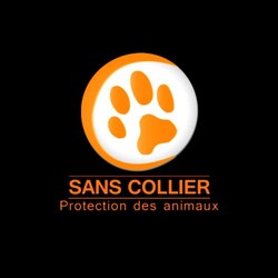 Sans collier